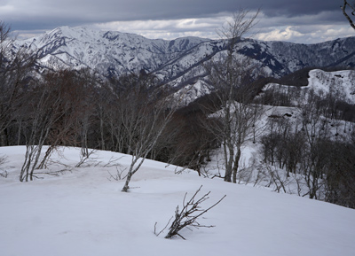 DSC04747.jpg