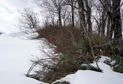 DSC04737.jpg