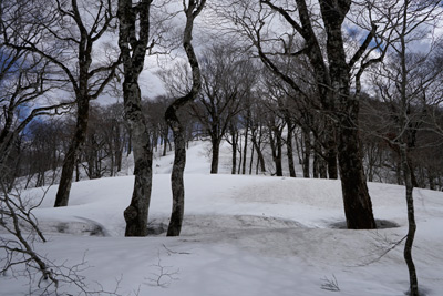 DSC04734.jpg