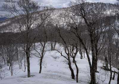 DSC04730.jpg