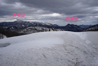 DSC04725.jpg