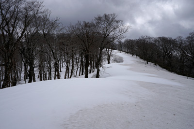 DSC04714.jpg