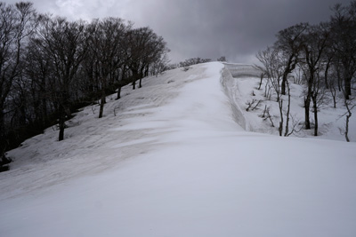 DSC04712.jpg