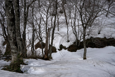 DSC04683.jpg