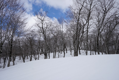 DSC04676.jpg