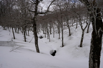 DSC04671.jpg