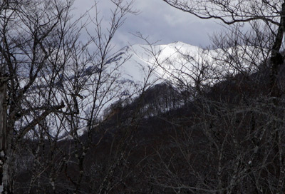 DSC04662.jpg