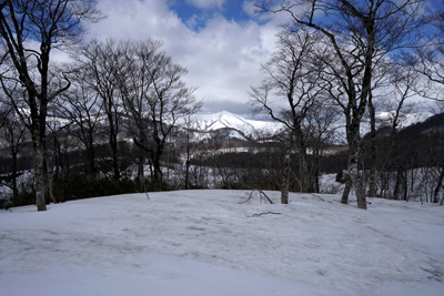 DSC04661.jpg