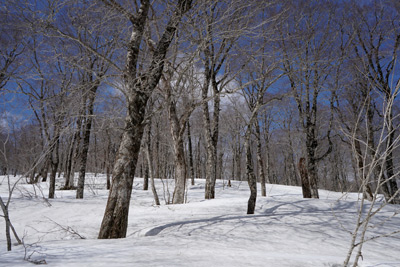 DSC04650.jpg