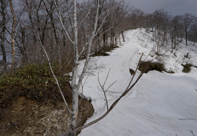 DSC04638.jpg