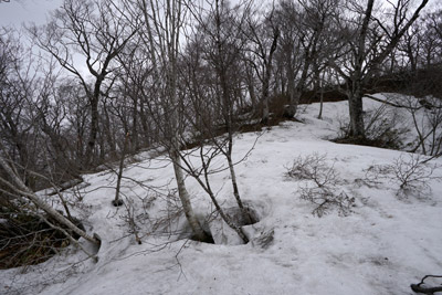 DSC04628.jpg