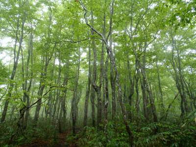 P6042187.jpg