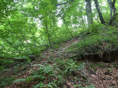 R9306067.jpg