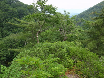 R9306062.jpg
