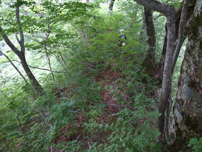 R9306056.jpg