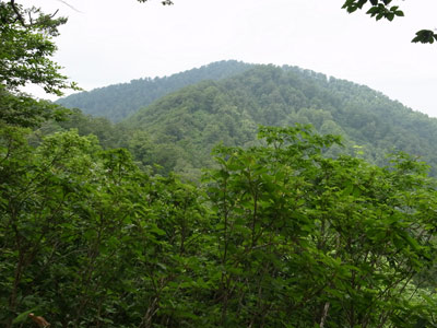R9306039.jpg