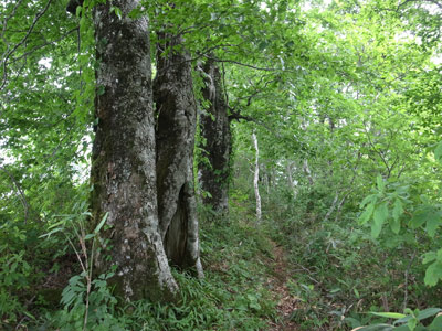 R9306037.jpg