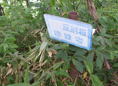 R9306036.jpg