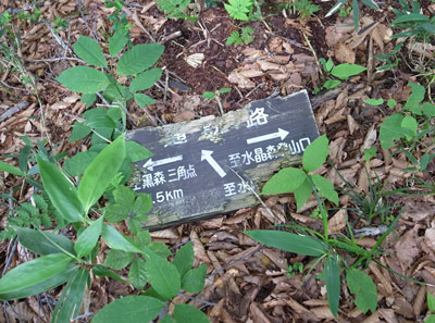 R9306031.jpg