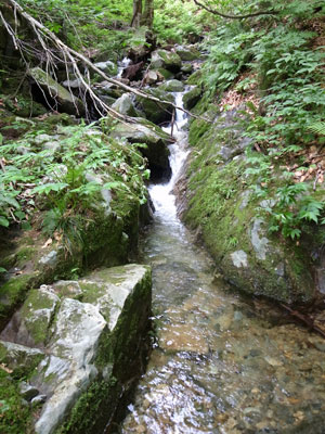 R9305999.jpg