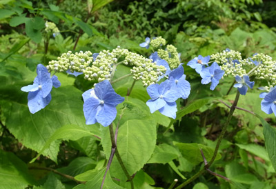 R9305994.jpg