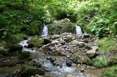 R9305990.jpg