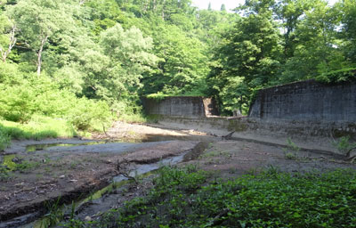 R9305968.jpg