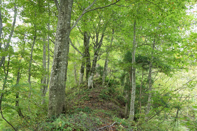 IMG_2589.jpg