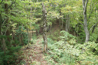IMG_2655.jpg