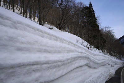 DSC07983.jpg