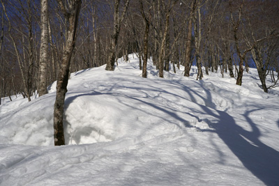 DSC07987.jpg