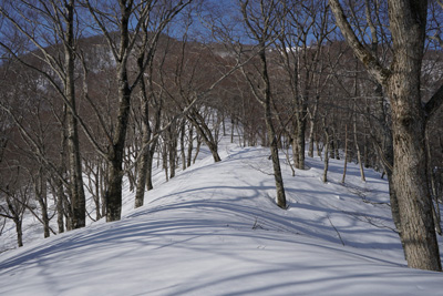 DSC07996.jpg