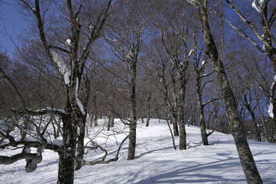 DSC08002.jpg