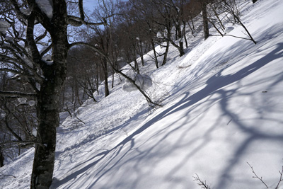 DSC08003.jpg
