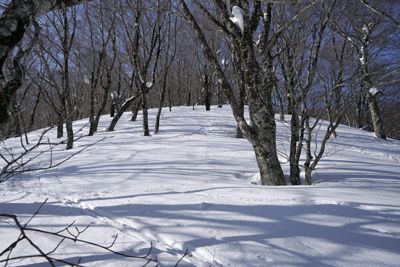 DSC08004.jpg