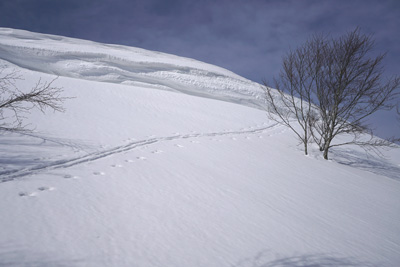 DSC08020.jpg