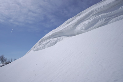 DSC08022.jpg