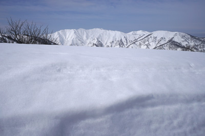 DSC08025.jpg