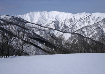 DSC08028.jpg