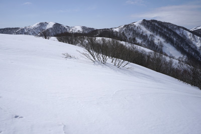 DSC08029.jpg