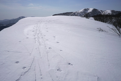 DSC08033.jpg