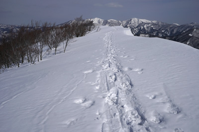 DSC08044.jpg