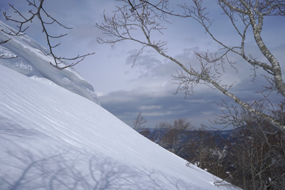 DSC08057.jpg