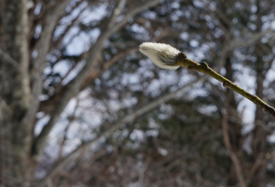DSC08070.jpg