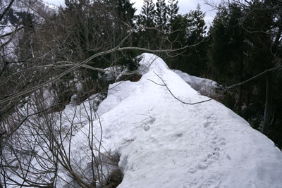 DSC08225.jpg