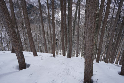 DSC08223.jpg
