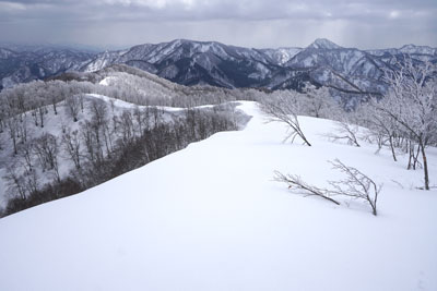 DSC08219.jpg