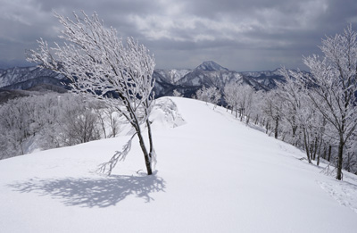 DSC08212.jpg