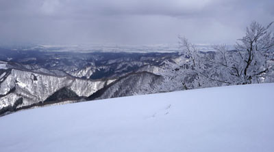 DSC08211.jpg