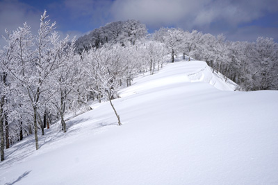 DSC08205.jpg